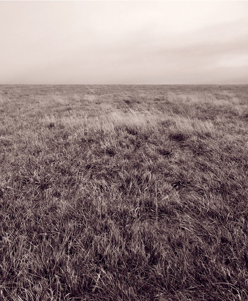 paysage2